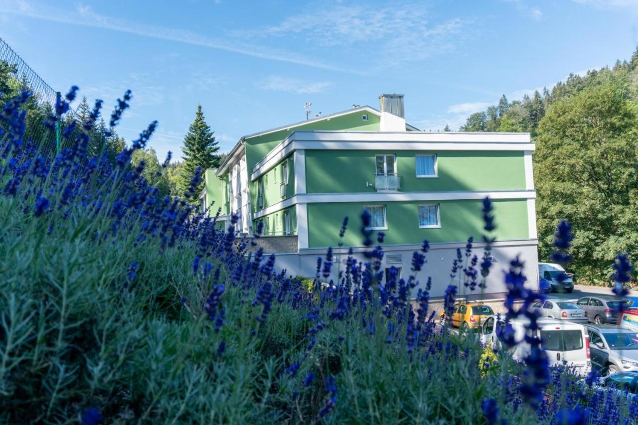 Wellness Hotel Green Paradise Pirkenhammer Exterior foto