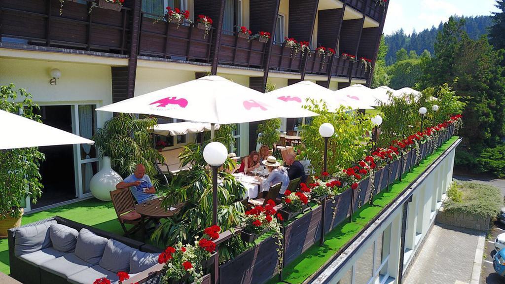 Wellness Hotel Green Paradise Pirkenhammer Exterior foto